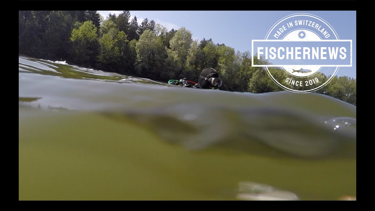 Erfolgskontrolle nach Laichhilfen-Versenken: Ein Jahr später...