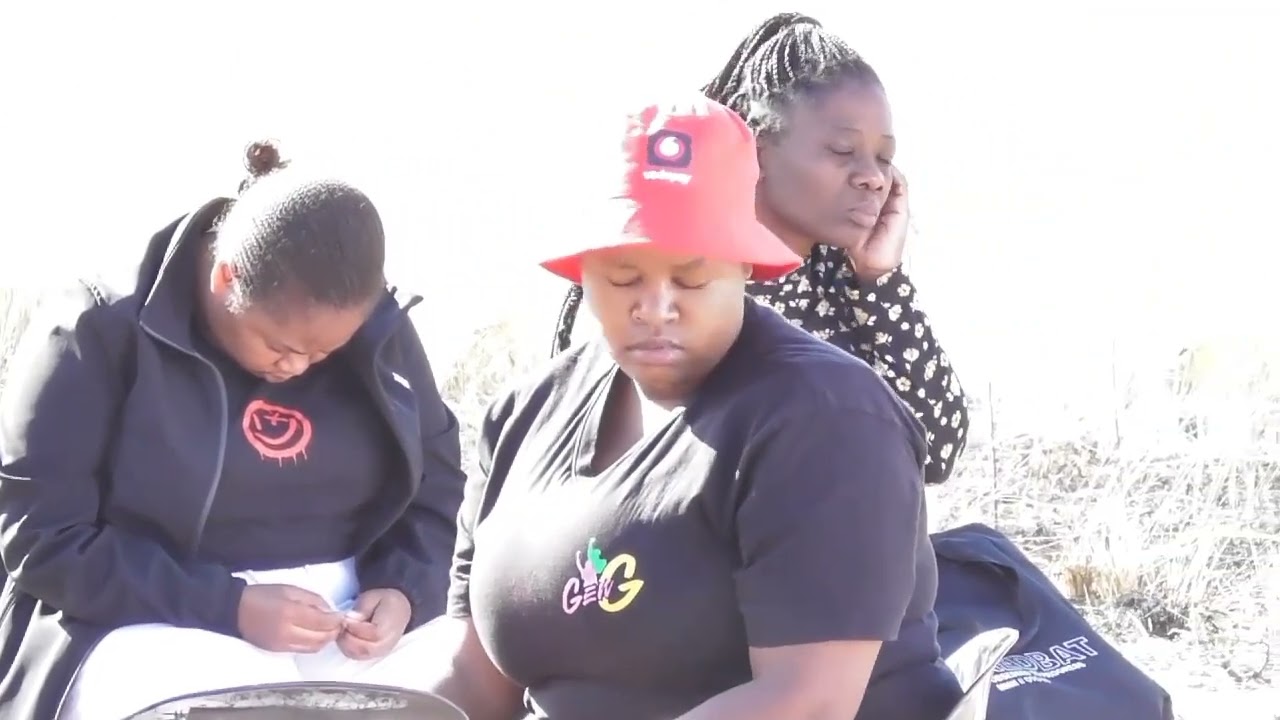 Harnessing Youth To Combat GBV