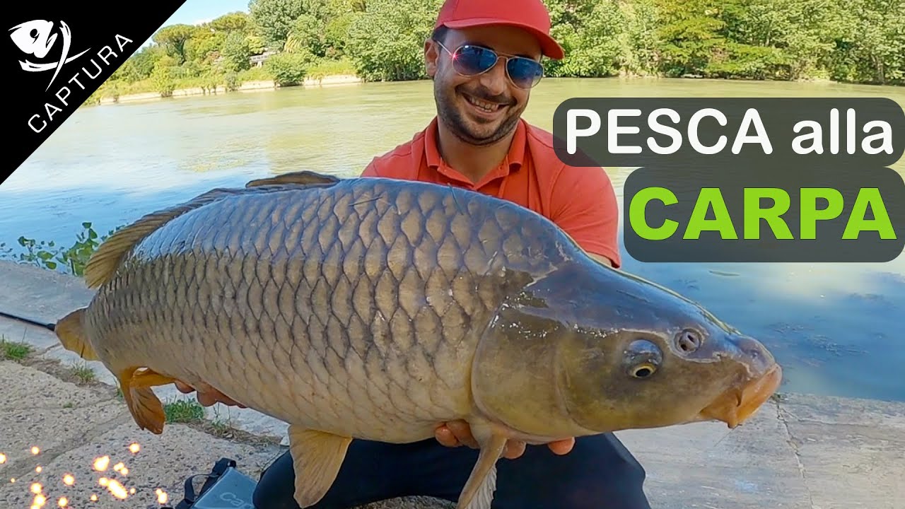 Pesca alla carpa