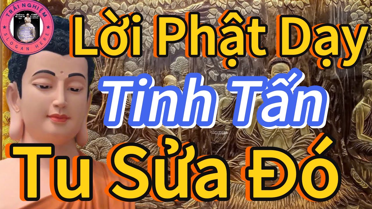 Phật Dạy Tinh Tấn Tu Sửa Đó Là Cách Cho Ta Trưởng Thành 