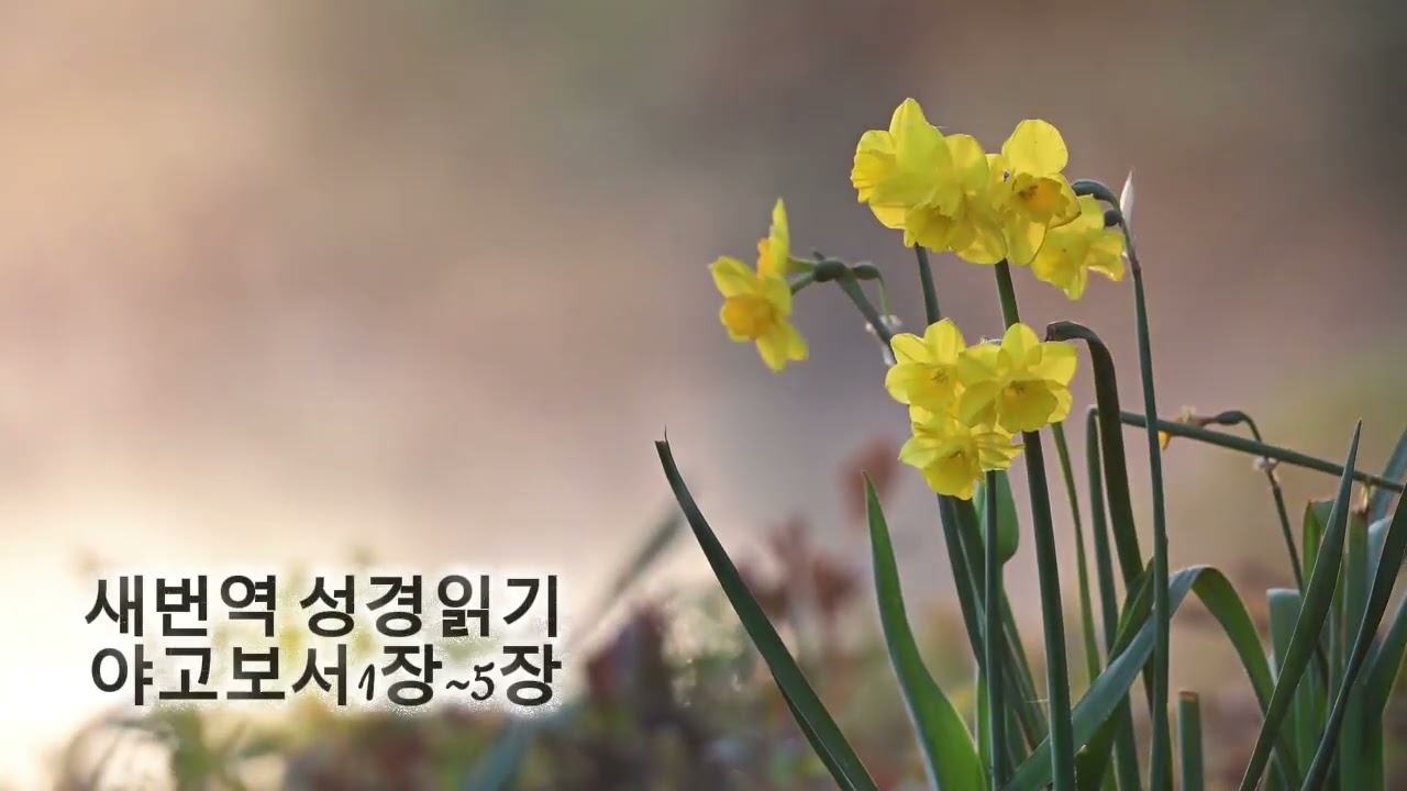 새번역성경읽기 #야고보서 #하늘샘교회 #한국어성경읽기 