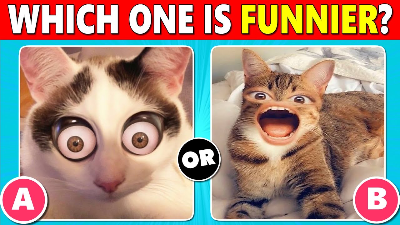 Which ONE is Funnier? | Funny Animal Videos (Pick One, Kick One)