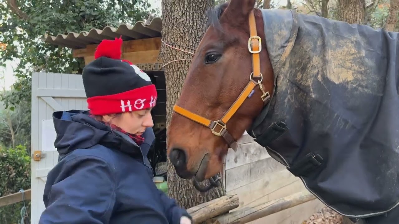 On prépare Lover 🐎