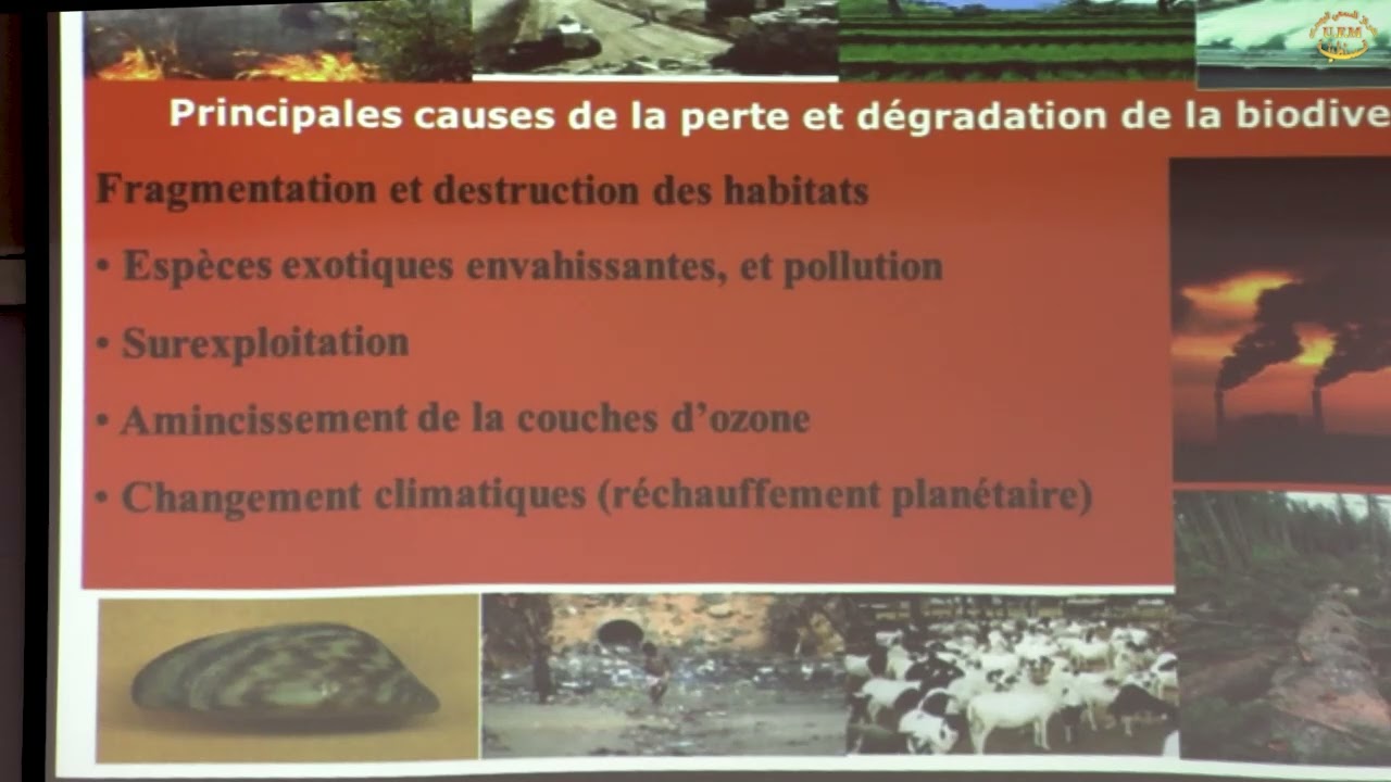 L’érosion de la biodiversité et le changement climatique en algerie Alatou Djamel