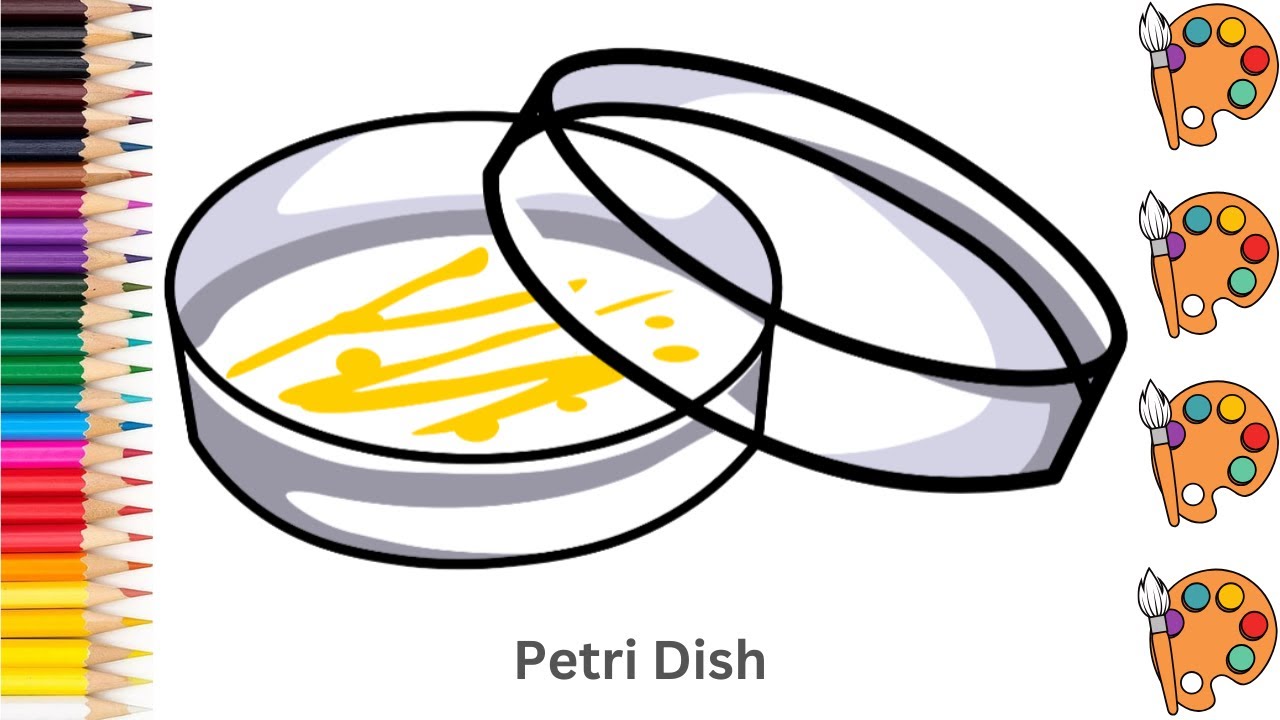 Petri Dish - Sketch Art and Paint | Step by step tutorial | Pencil to Palette