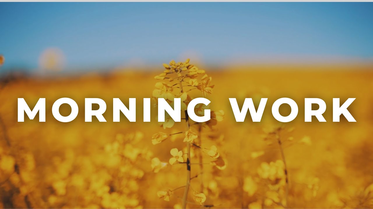 Handpan Ambient for Morning Work | Soft Focus Background Music