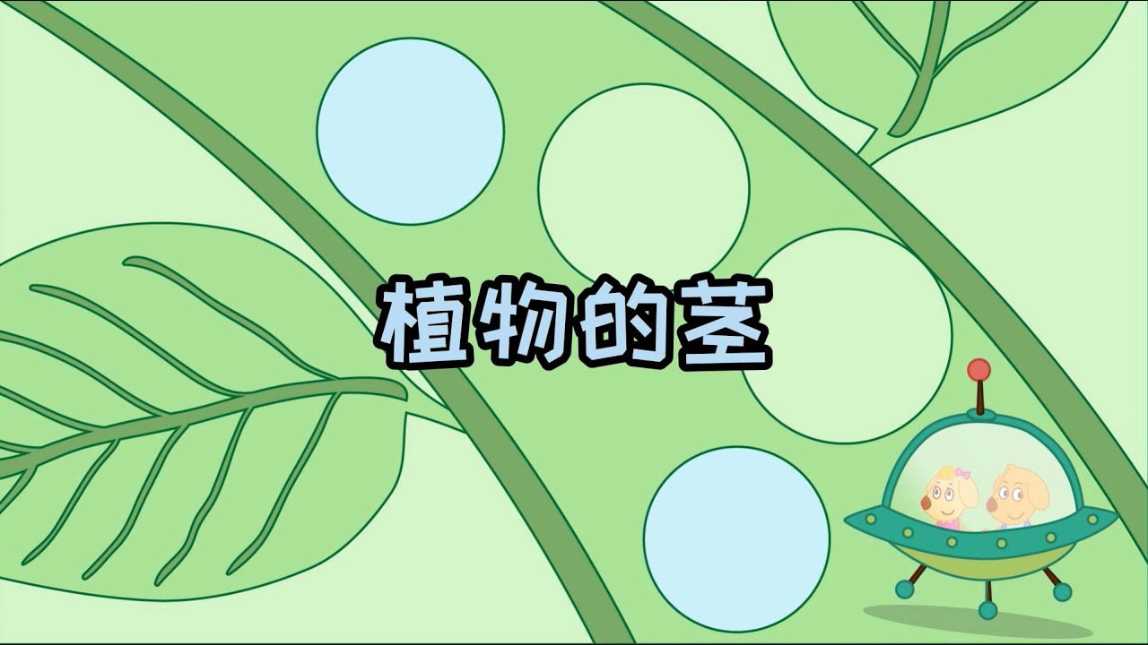 #生物学 植物的茎 #植物
