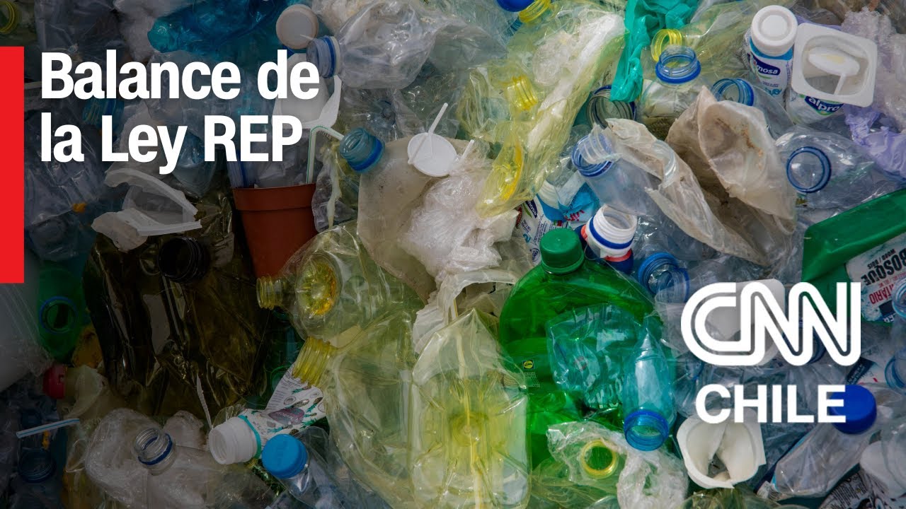 Ley REP: ¿Qué es y cómo nos afecta?