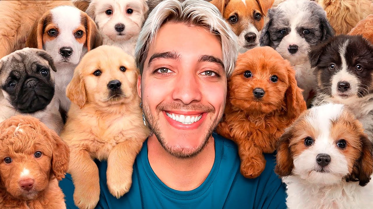 El video más tierno de MrBeast