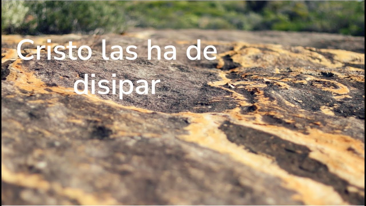 Gracias Señor (Videolyric)