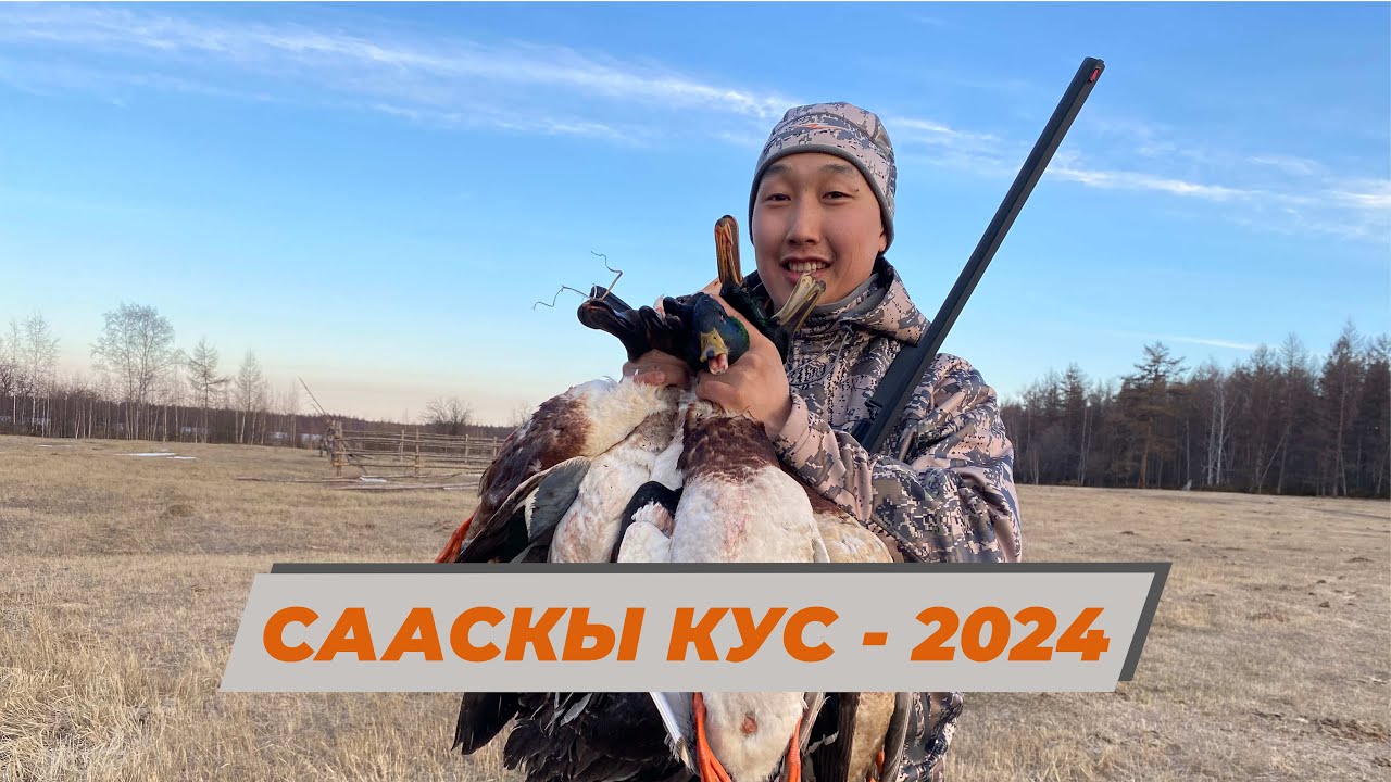 СААСКЫ КУС - 2024 / ВЕСЕННЯЯ ОХОТА НА УТОК И ГУСЕЙ - 2024