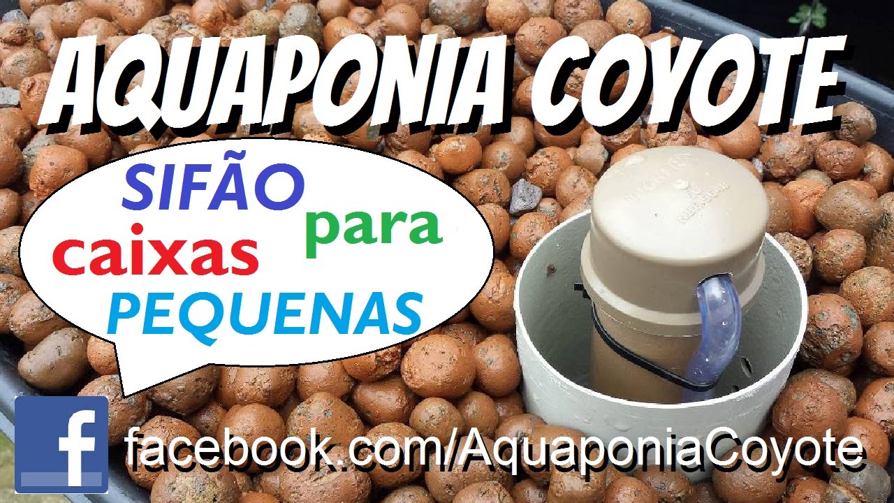 Sifão para Aquaponia, para caixas de 15cm de profundidade - Bell Syphon Aquaponics Aquaponia Coyote