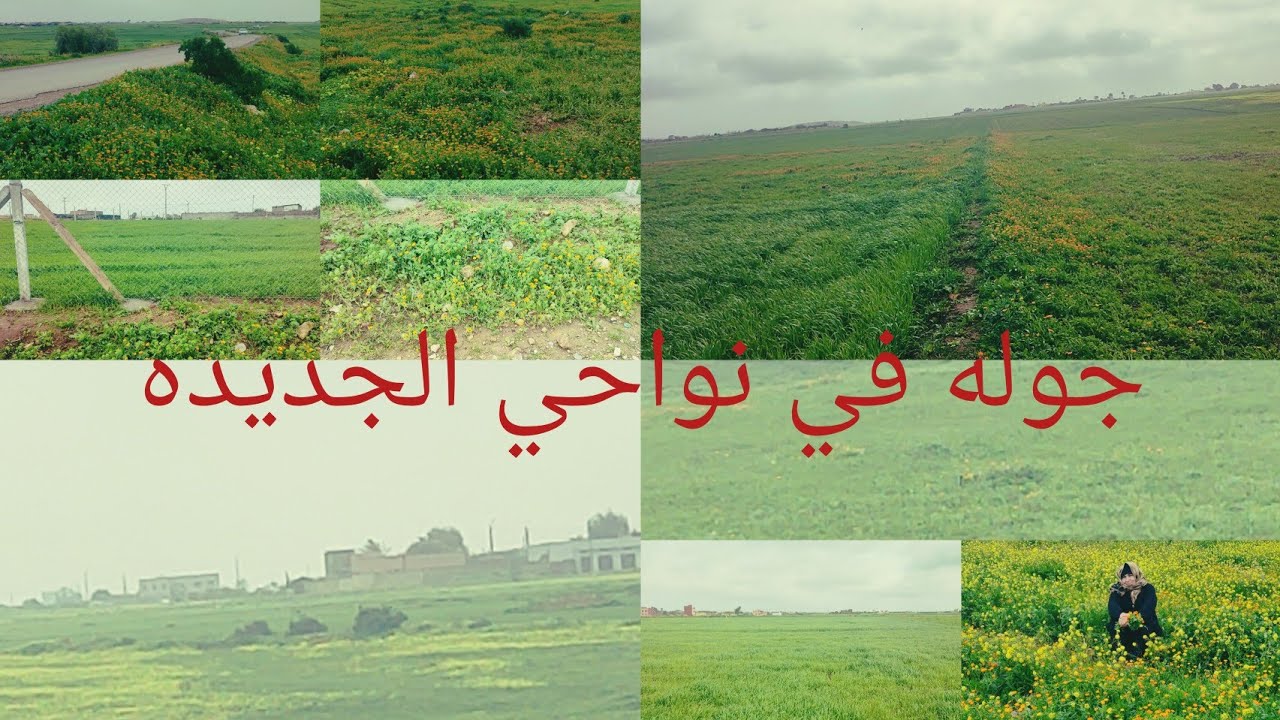 جوله في نواحي مدينه الجديده كانت السماء غائمه وامطار الخير غازيه استمتعنا مع الحباب