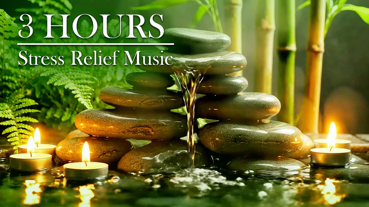 Deep Relaxing Music for Stress Relief 🍀 Calming Meditation Music for Focus