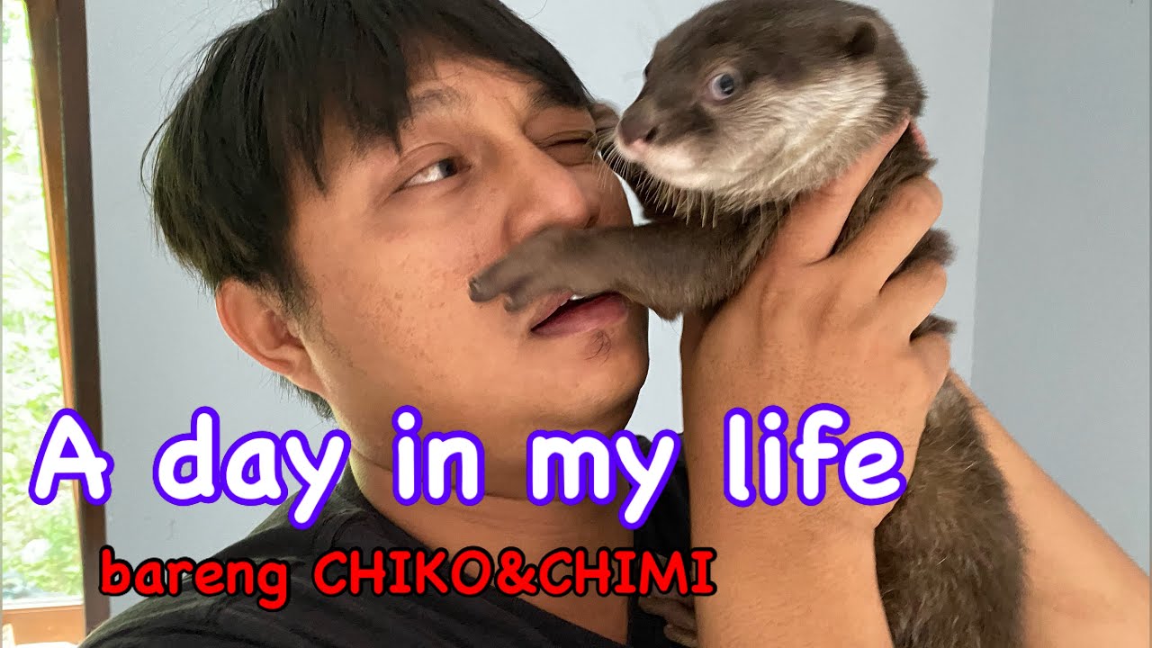 A DAY IN MY LIFE bareng Chiko& chimi