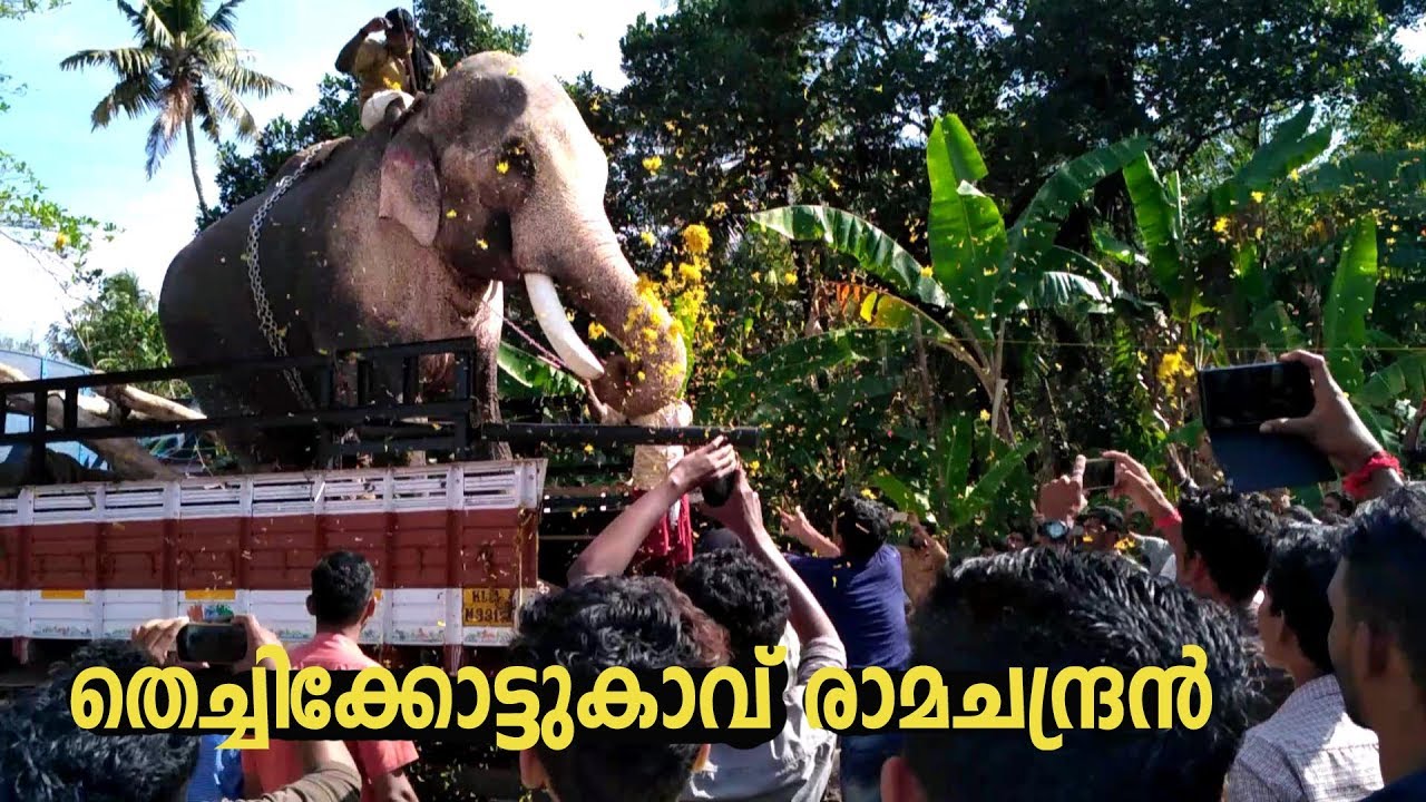 Thechikottkavu ramachandran mass entry at pakalkuri parippally