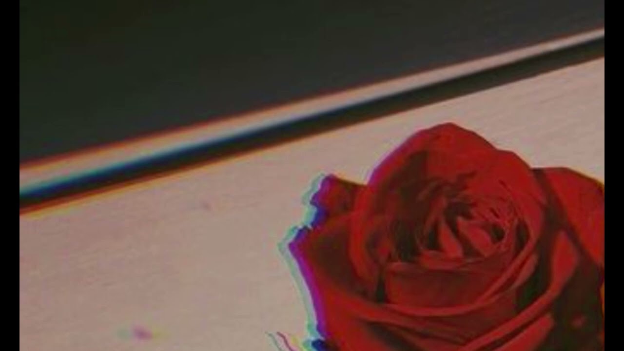 Perfect Nervous_花_門田匡陽（MONDEN MASAAKI)