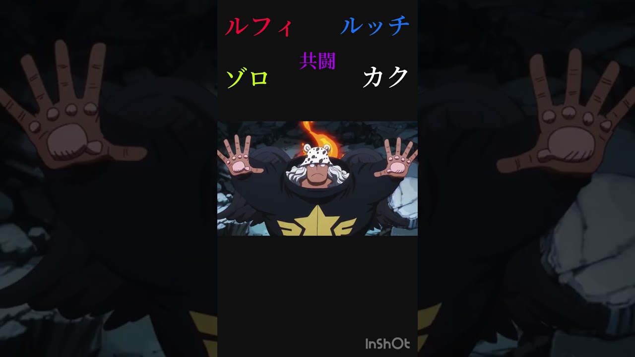 ルフィ＆ルッチ ゾロ＆カク 共闘 