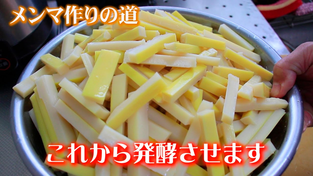 相葉マナブもメンマ❗発酵して干す本格メンマ作り始動! 4月から始めた試行錯誤の結果は?