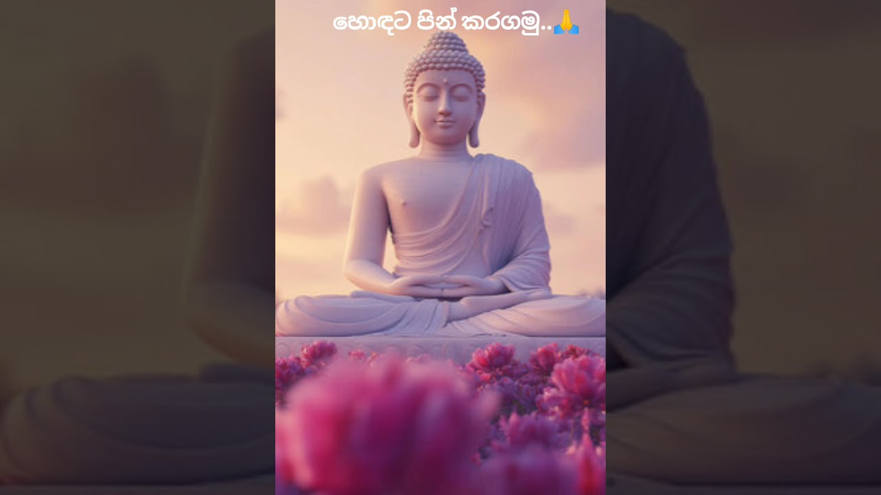 හොඳට පින්කර ගන්න පුළුවන් ක්‍රමයක්🙏☸️🙏#buddha #viralvideo 🪷