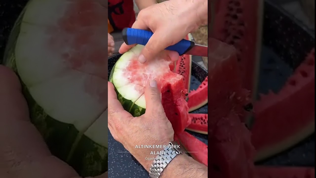 سنابات صالح علي المري