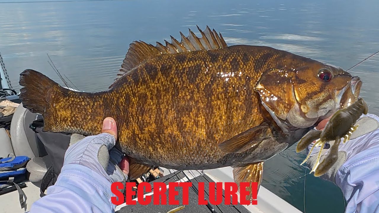 SECRET SMALLMOUTH BASS LURE! Mille Lacs MN Opener 2025