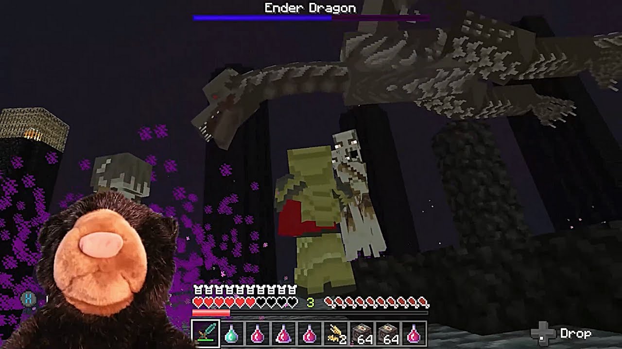 Fighting the Ender Dragon in Skyrim Mashup (Featuring NAS)