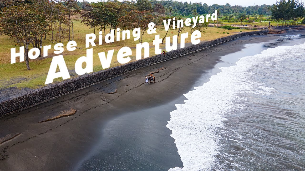 Epic Bali Day: Horse Riding at Bali Horse Riding & Wine Tour at Sababay Winery!