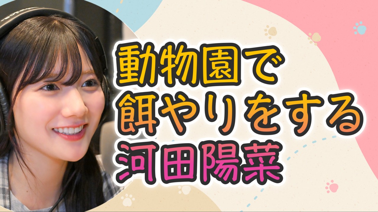 【文字起こし】動物園で餌やりをする河田陽菜