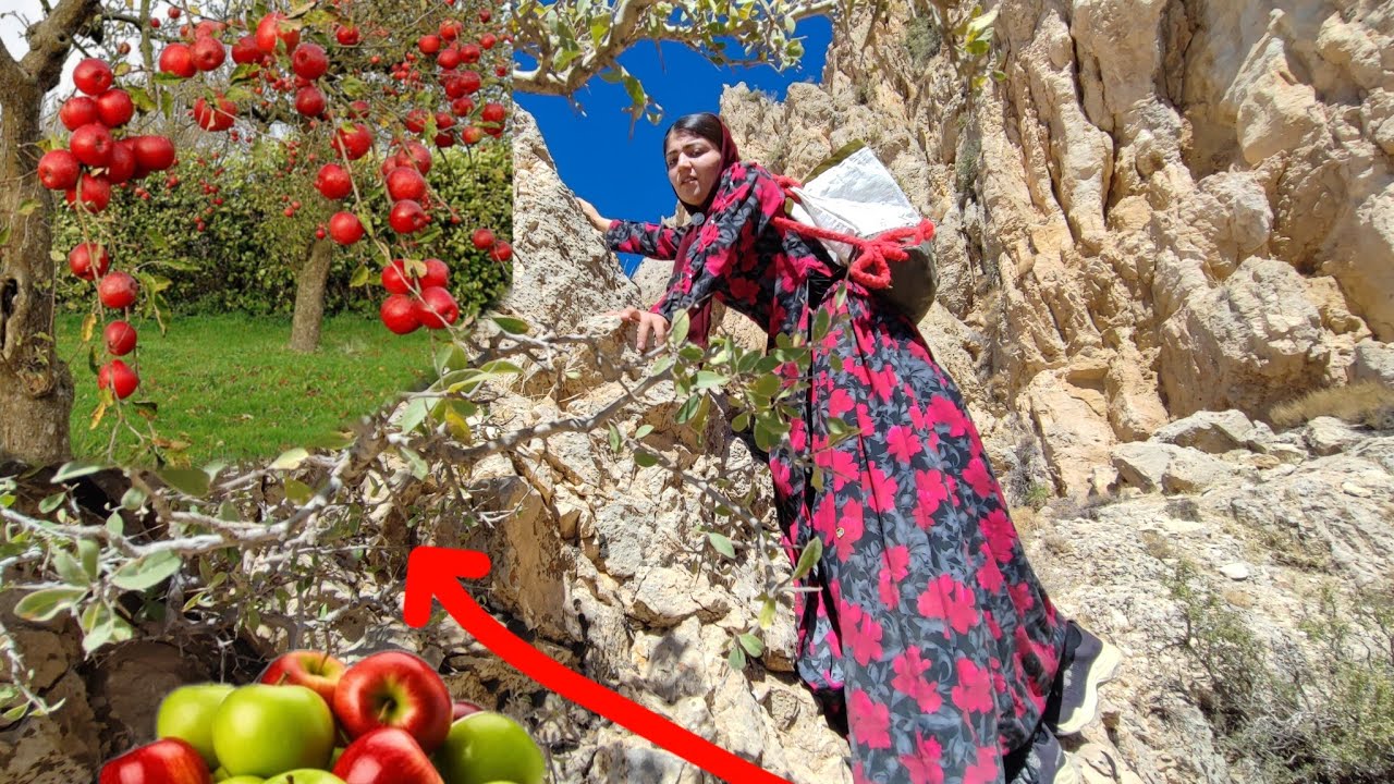 🍎🍎🍎💥💥