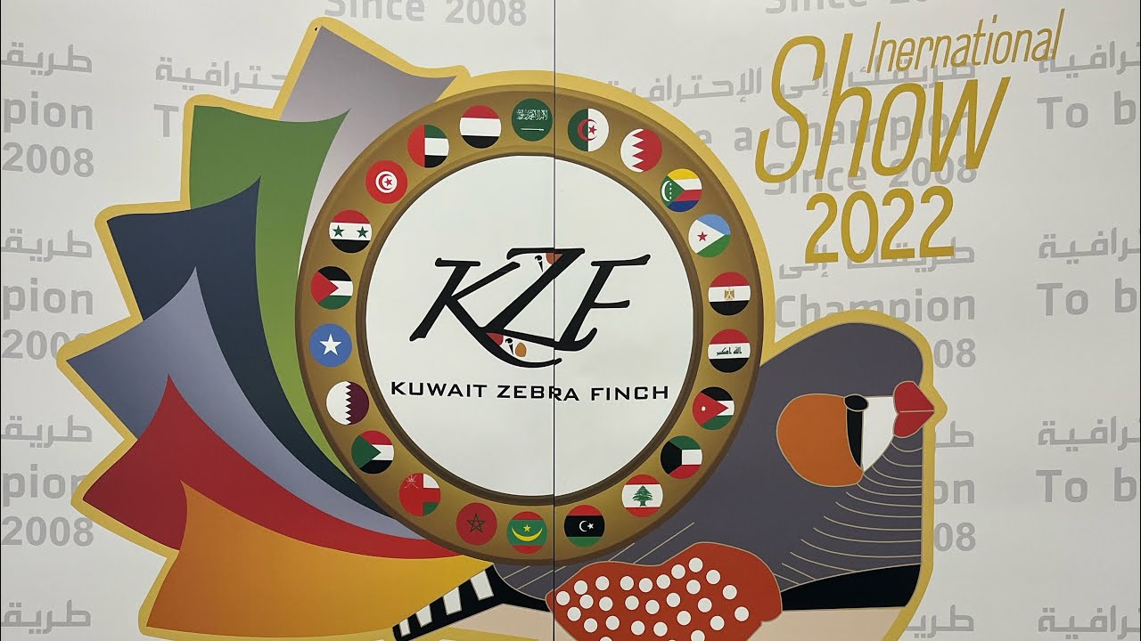 معرض النادي الكويتي للزيبرا فنش 2022 show of the shows