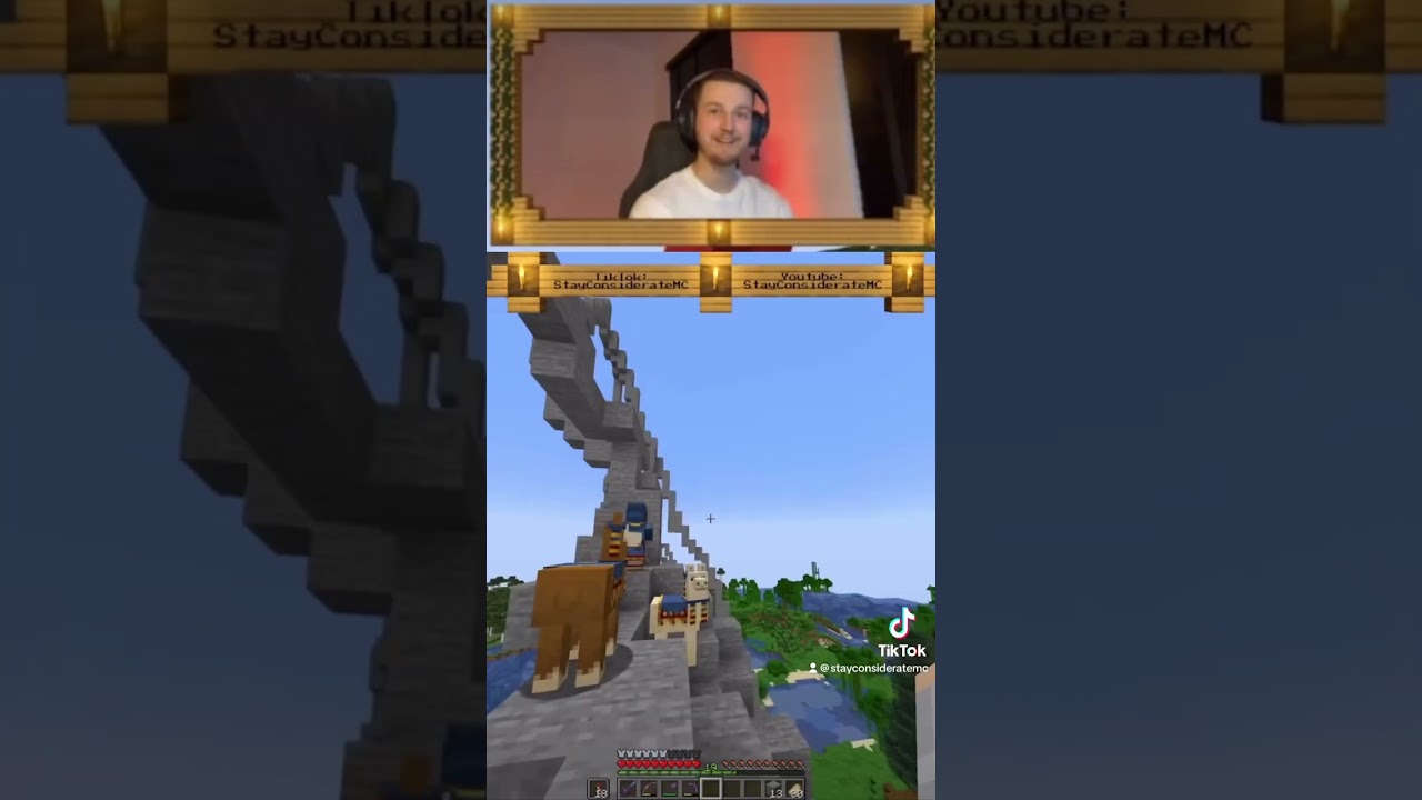 A villager hurt me irl! 