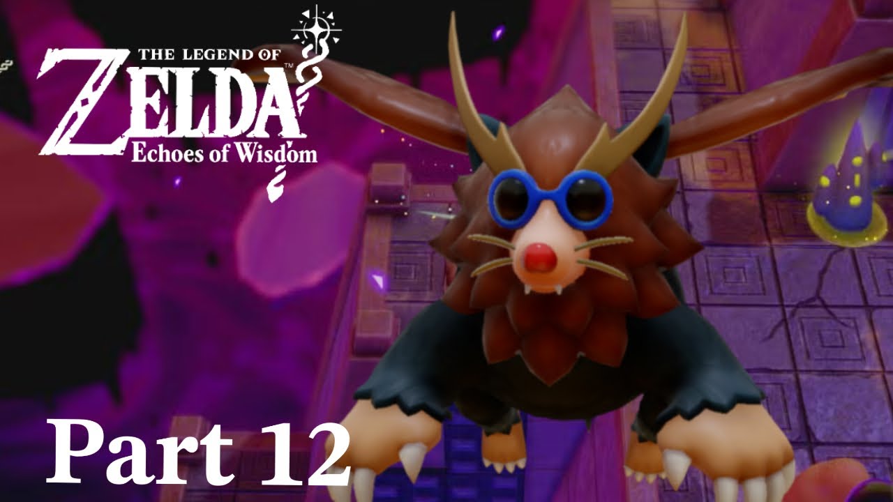 The Legend of Zelda - Echoes of Wisdom - Part 12 Full Game Walkthrough