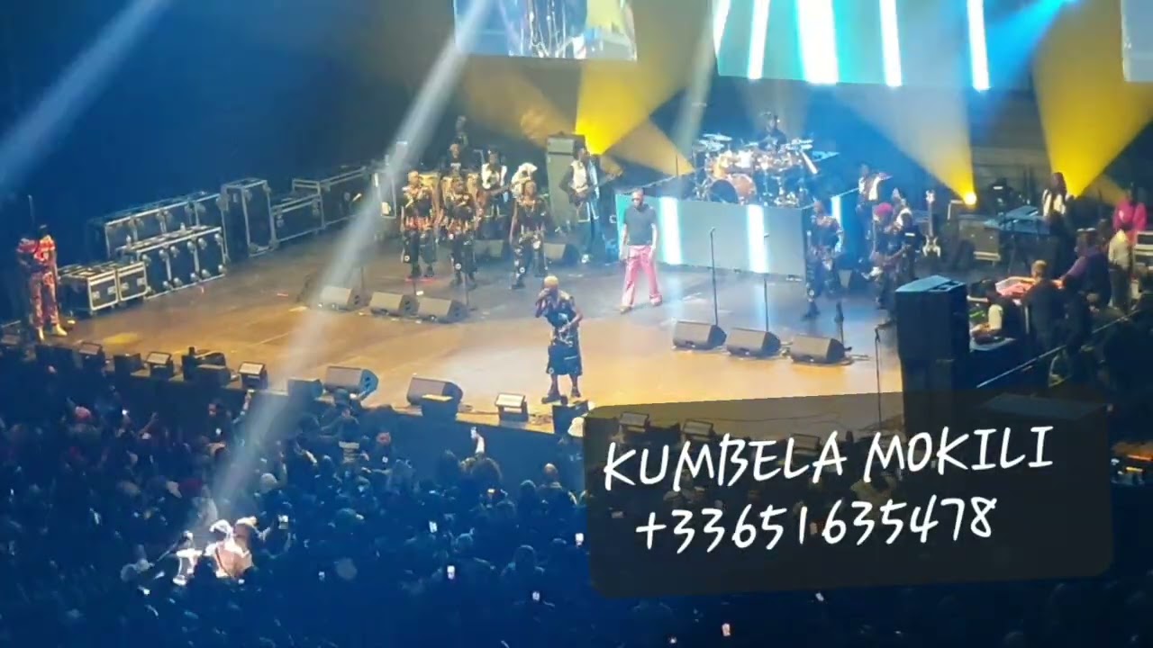 WERRASON ABUKI ADIDAS ARENA 
