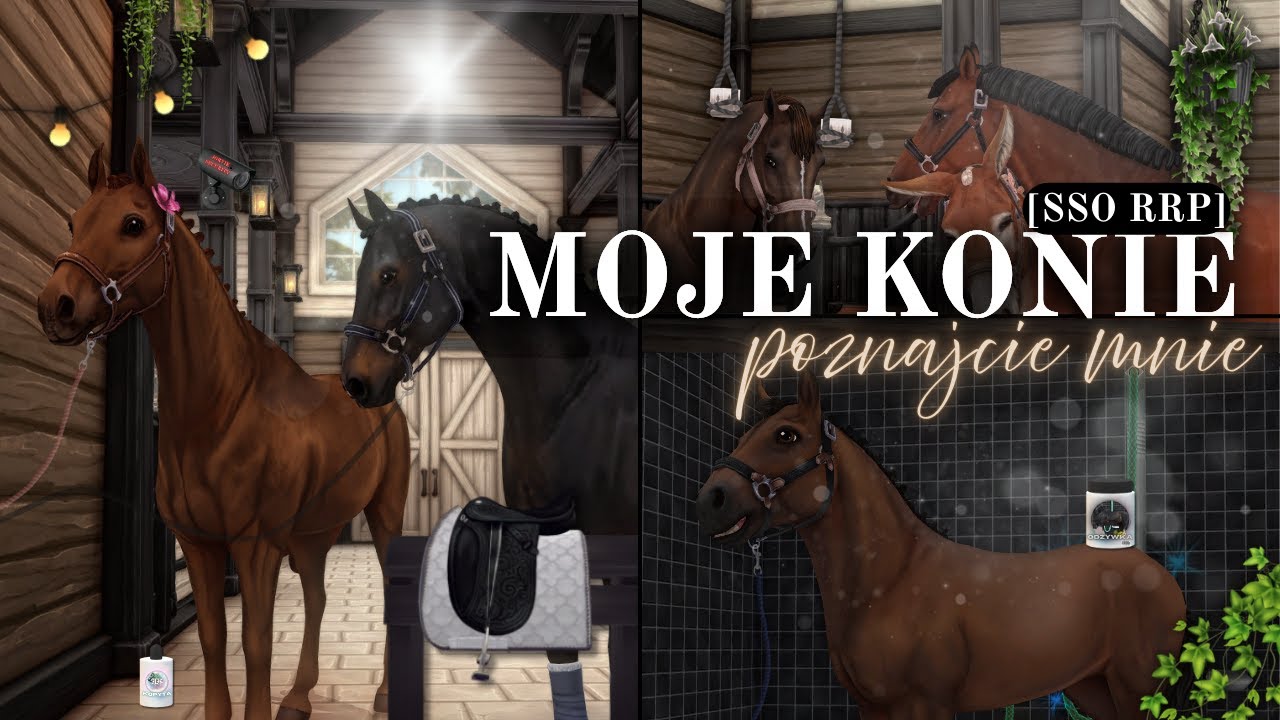 Poznajcie mnie i moje konie [SSO RRP]