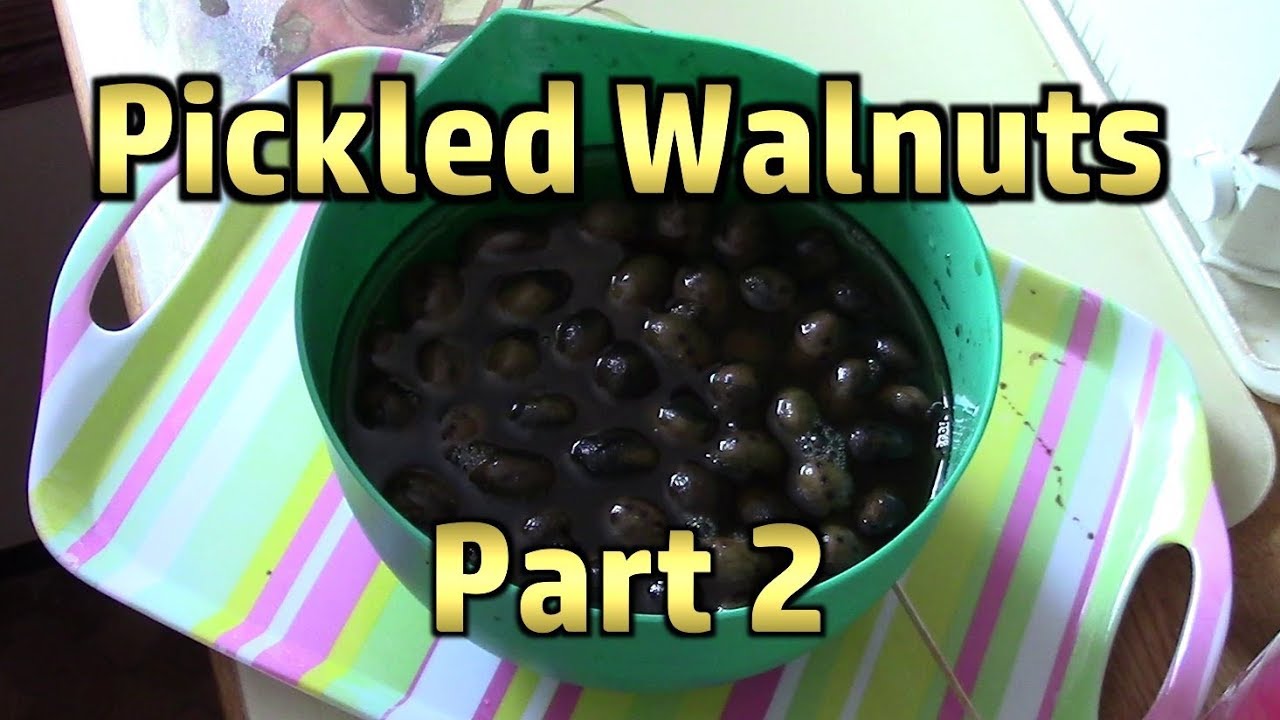 Making Pickled Walnuts - Part 2 - The Boring Middle Bit (Waiting, Changing The Brine)