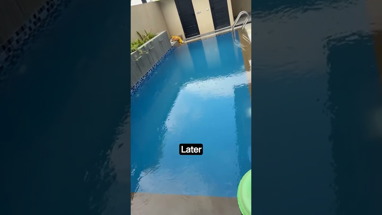 water treatment for pool