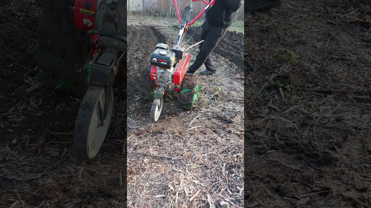motocultor zimbru 6.5 c la arat cu roți de dacie