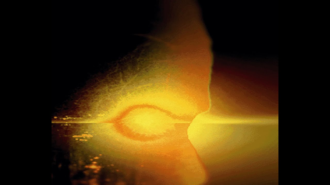 Ardour  ~ Clip launch a midi instrument (Cardinal)