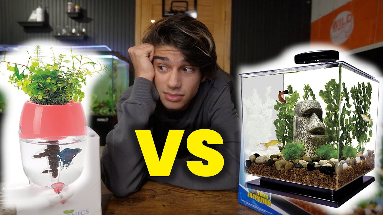 Betta Planter Vs 3 Gallon Aquarium - Betta fish tank