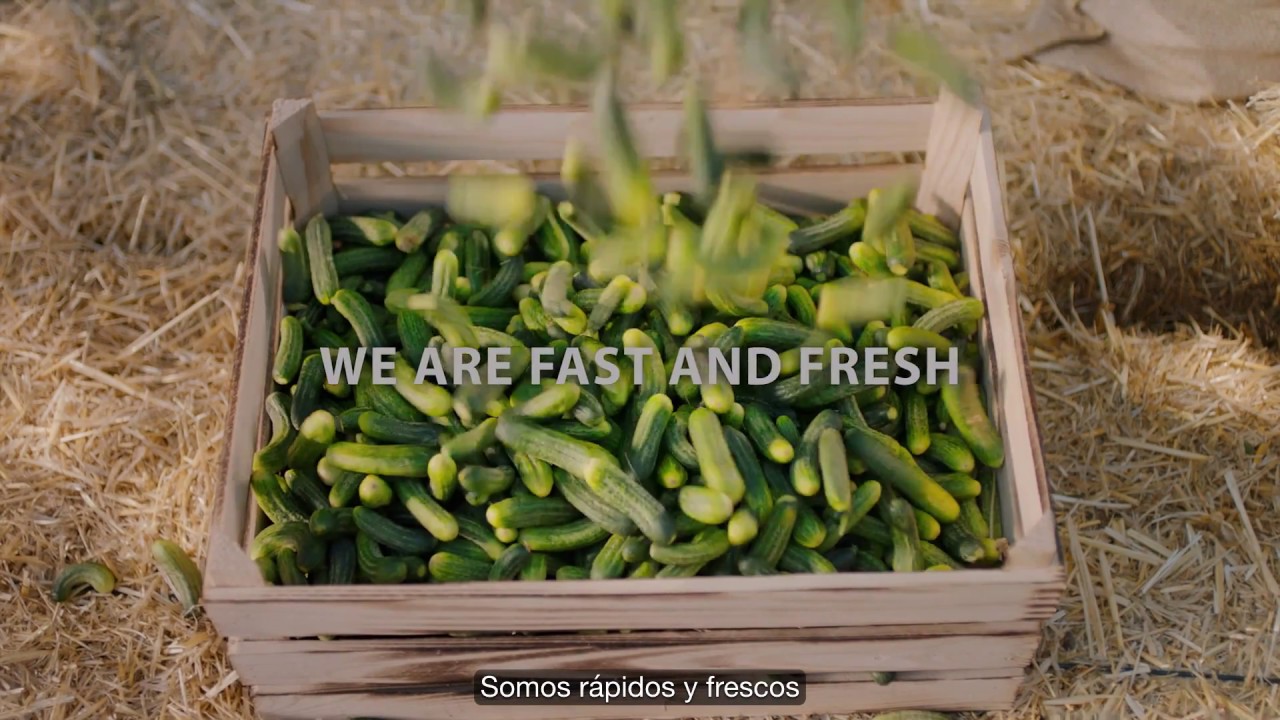 Euro Gıda Corporate Film Spanish