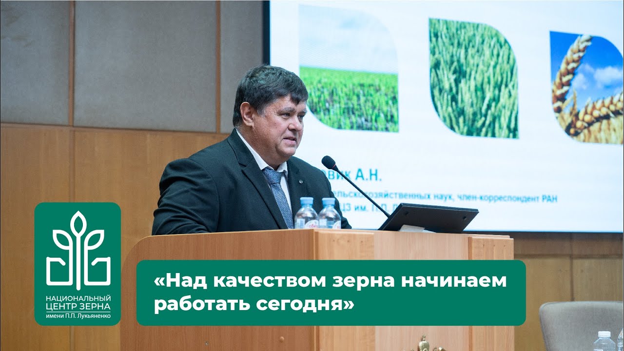 ДОКЛАД БОРОВИК А.Н. «НАД КАЧЕСТВОМ ЗЕРНА НАЧИНАЕМ РАБОТАТЬ СЕГОДНЯ»