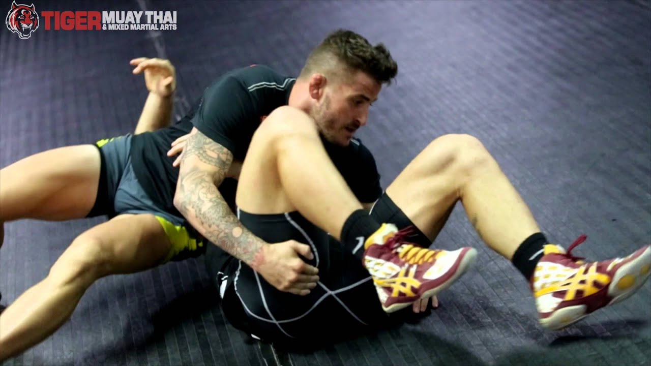 MMA/Wrestling Technique