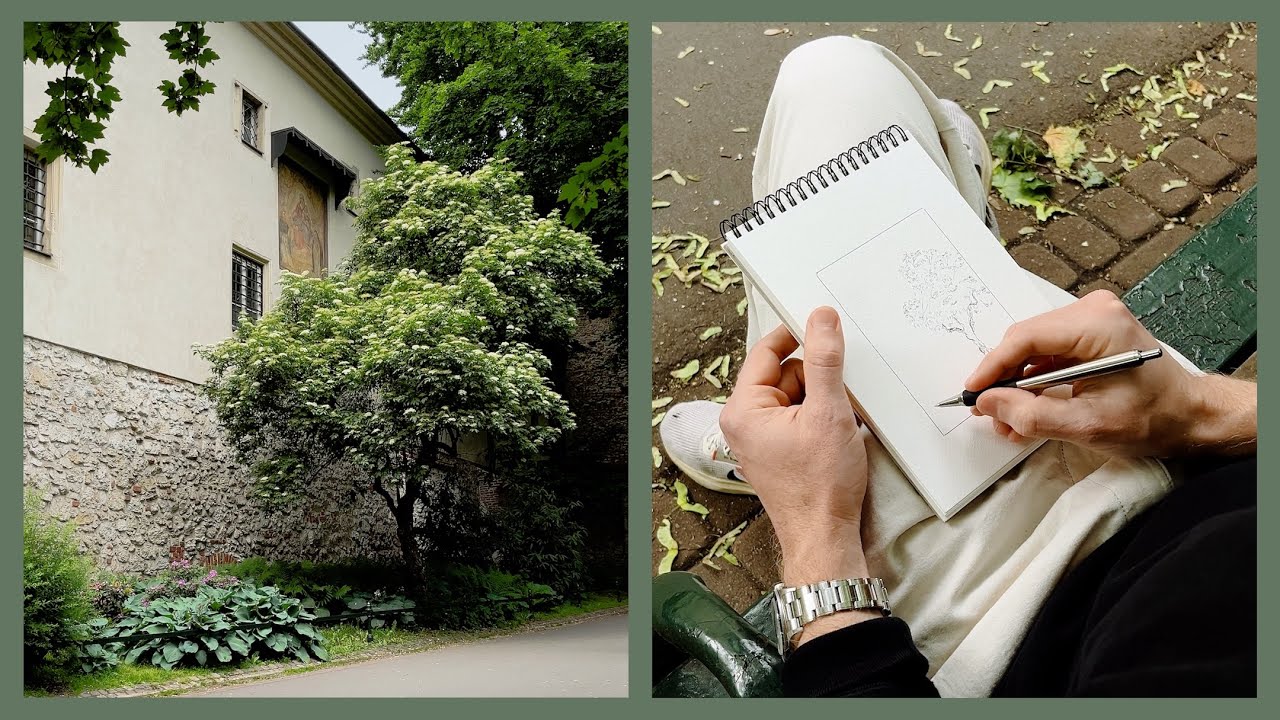 A Tree on a Garden Path - Learning to Draw 036
