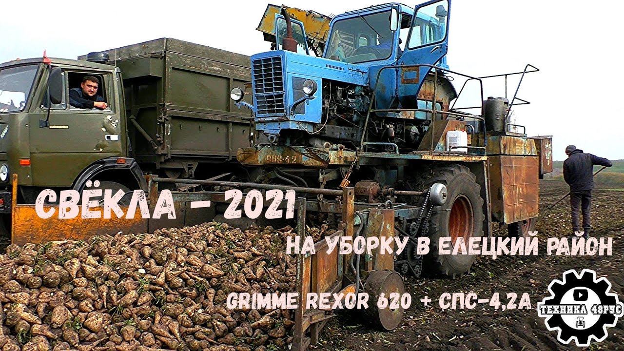 СПС-4,2 и Grimme Rexor 620. На уборку свёклы в Елецкий район. Сахарная свёкла - 2021