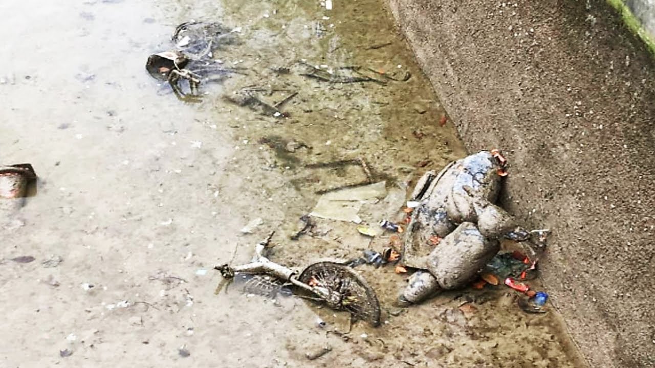 Paris Canal Is Drained and the Finds Are Unreal