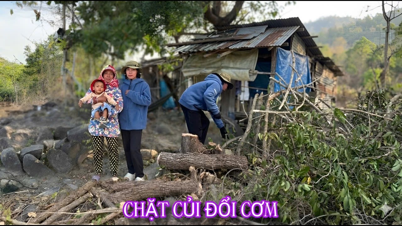 Căn chòi tôn NHỎ XÍU trên đỉnh núi và cuộc MƯU SINH của gia đình người RAGLAI |732