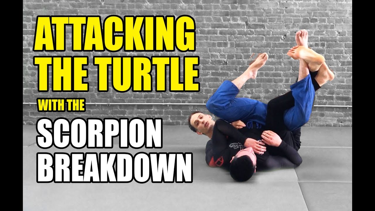 Scorpion Breakdown: Attacking Turtle Position No Gi BJJ