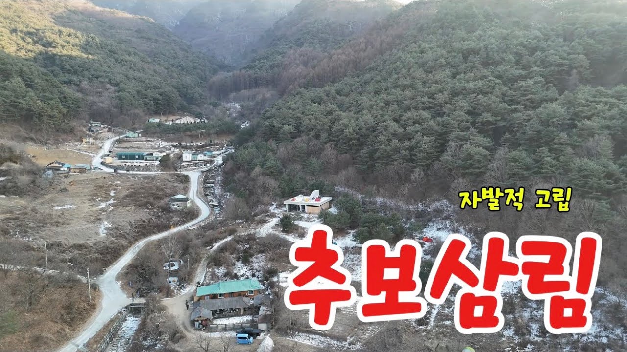추보삼림 자발적고립 in 영월
