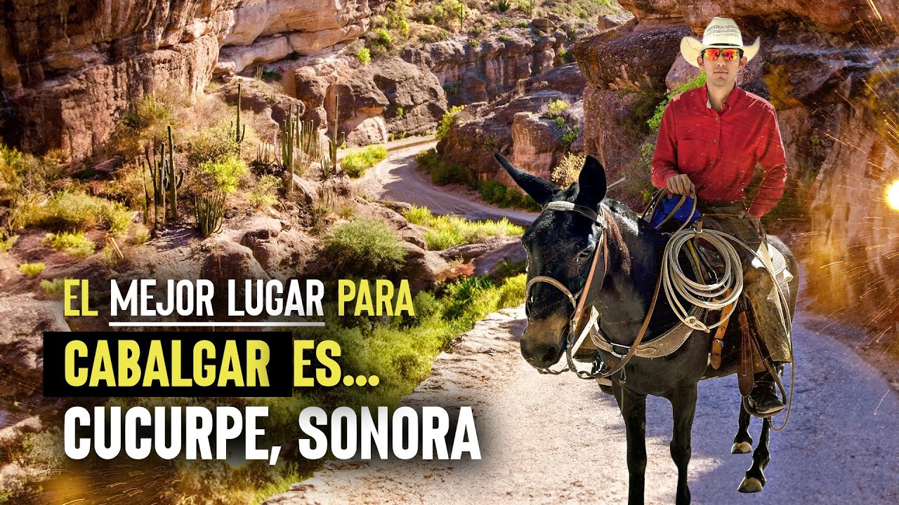 Este lugar de Sonora es el mejor para CABALGAR a caballo&hellip; | Cabalgando en Cucurpe, Sonora